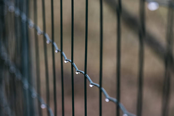 water drops on lattice fence