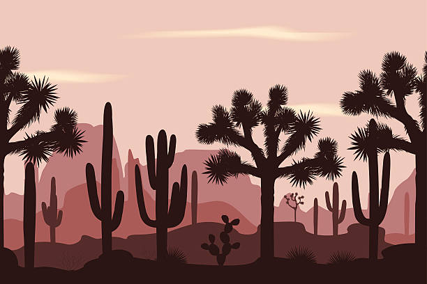 пустыня бесшовные картины с деревьями джошуа и сагуаро кактусы. - joshua stock illustrations