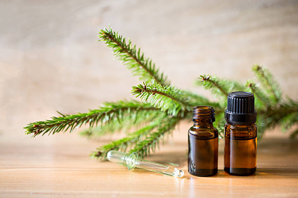 istock Spruce needle aromatherapy essential oils in bottles 637697638