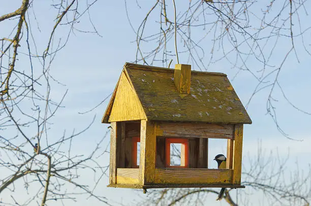 tree house for the birds for the winter weather in the morning in Russia