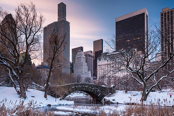 istock Snowy Sunrise in Central Park 637702446