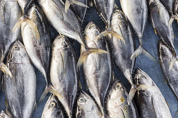 istock Fresh fish at local Sri Lanka market. 637703798