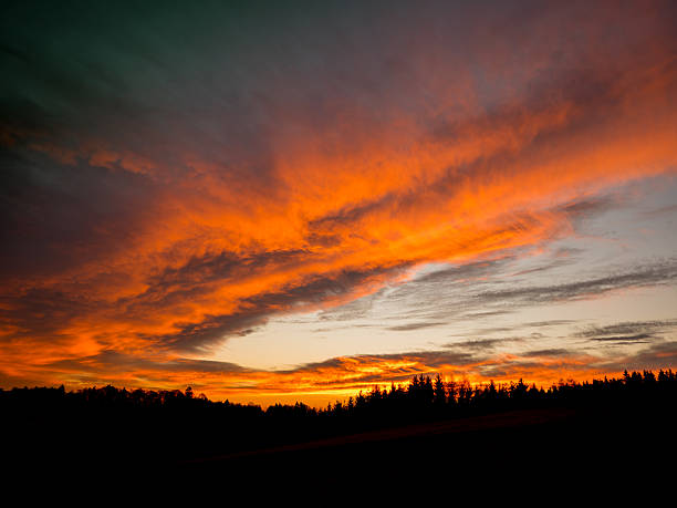 istock Burning sky wallpaper - Orange sunset background 637704514