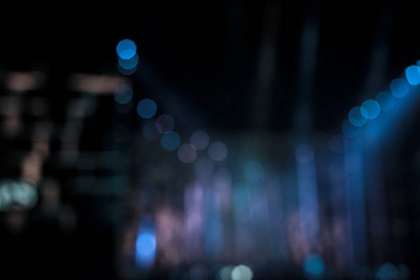 istock Blurred disco party and Concert Live 637704834