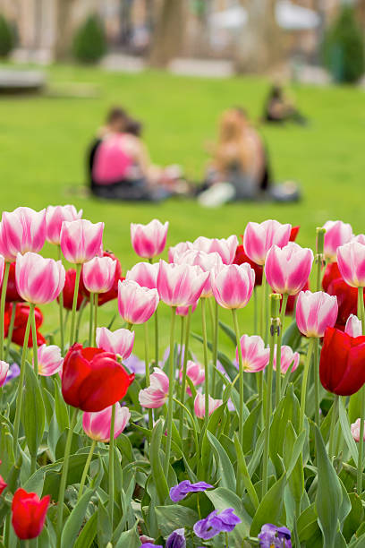istock Blurred group of young urban people sitting on a grass 637705394