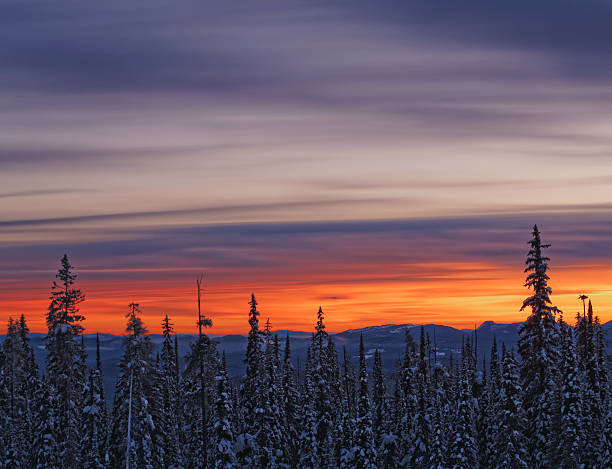 istock Vibrant Sunset Over Snow Pine Forest 637707348
