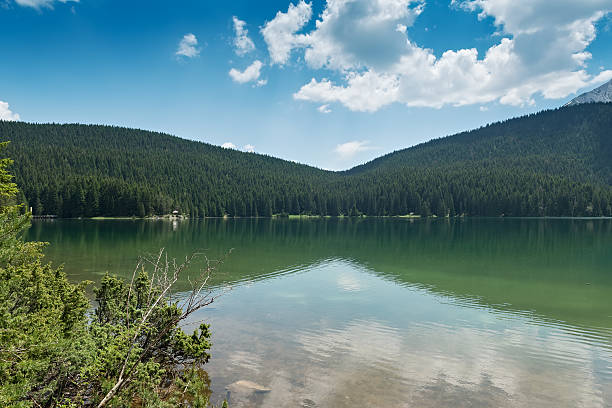 istock Black Lake in Durmitor national park, Montenegro 637707864