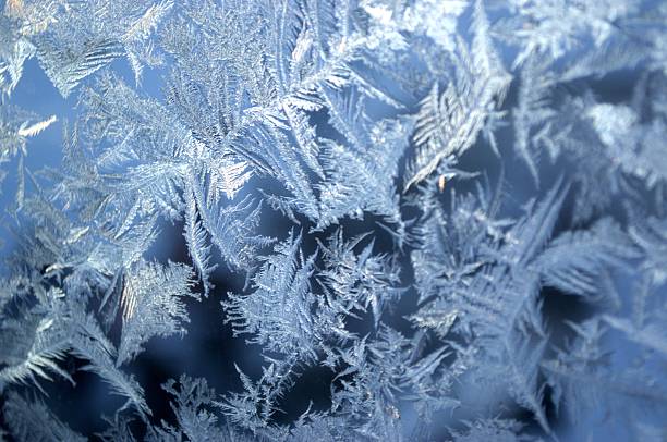 istock Winter magic and beauty frozen on the window. 637709902