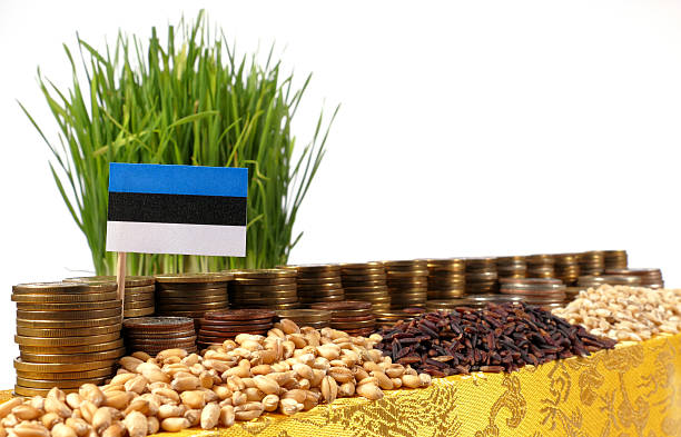bandiera dell'estonia con pila di monete e mucchi di grano - трюфел цена кг foto e immagini stock
