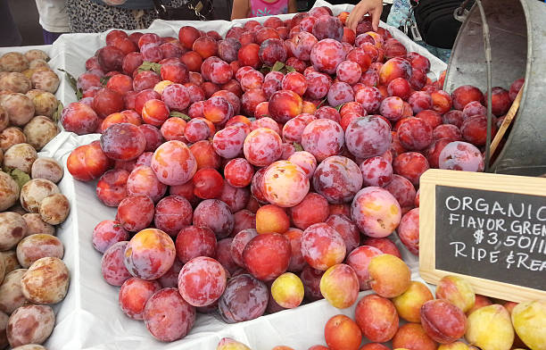 Organic Red Plums in a stand at Farmers Market