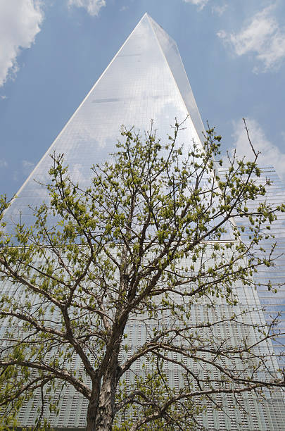 Tour de la liberté avec un arbre en face, New York - Photo