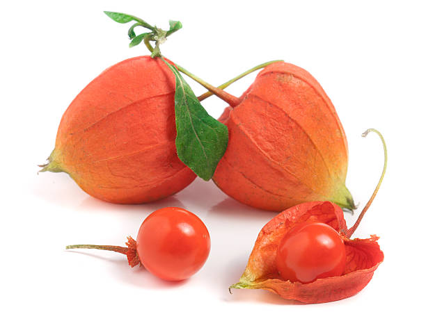 istock husk tomatoes or physalis with leaf isolated on white background 637719650