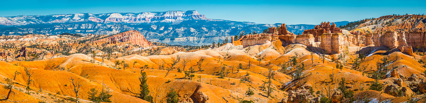 Golden mesas, fir trees and iconic red sandstone hoodoo pinnacles in the remarkable high desert landscape of Bryce Canyon National Park, Utah, USA.