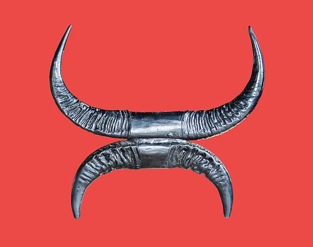istock Black Buffalo Horns  Isolated on Red Background 637723488