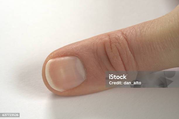 Thumb And Thumbnail Stock Photo - Download Image Now - Fingernail, Thumb, Close-up