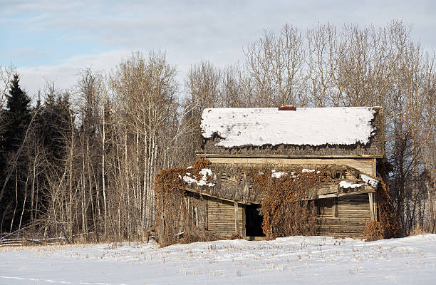 istock Abandoned vine covered farm house 637728974