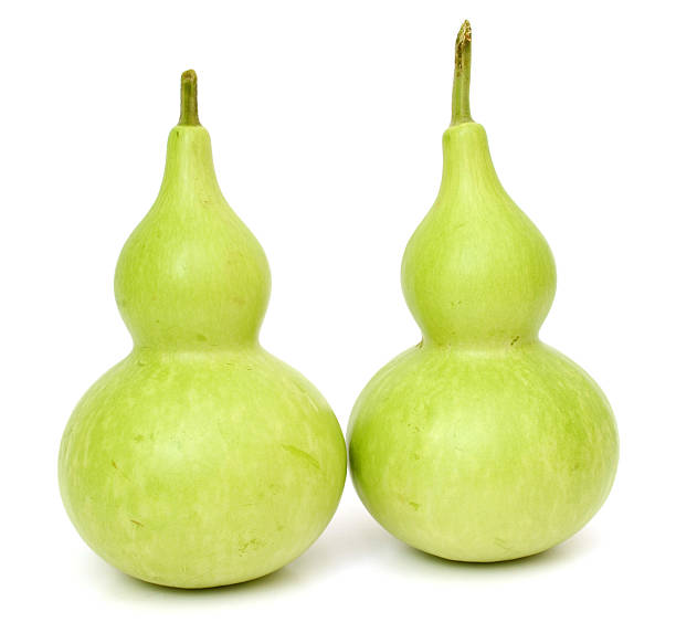 istock The Bottle Gourd, Calabash on white background 637730688
