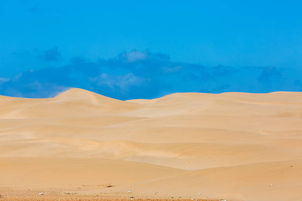 istock Sand dunes of Oued Chbika Plage, Morocco 637730748