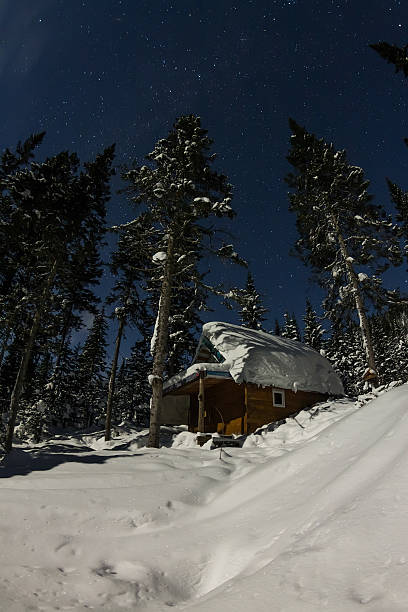 istock house chalets in winter forest with snow in light moon 637732442