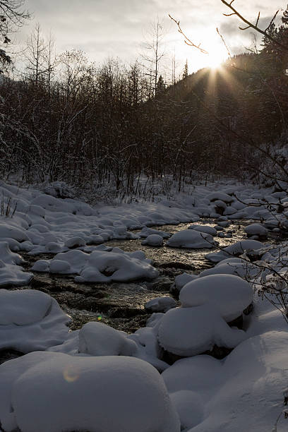 река течет на закате зимой в сугробах в лесу - winter stream river snowing стоковые фото и изображения