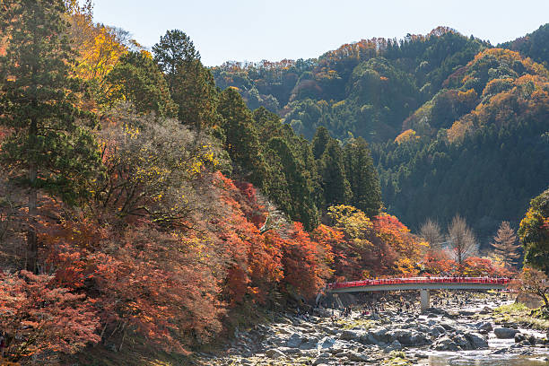 istock Korankei Forest autumn park Nagoya 637732646