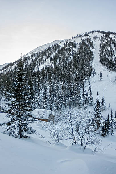 istock Cabin house chalets in winter forest with snow 637734200