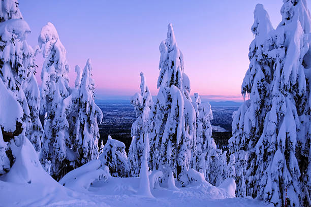 istock Winter fairytale at sunrise. 637735452