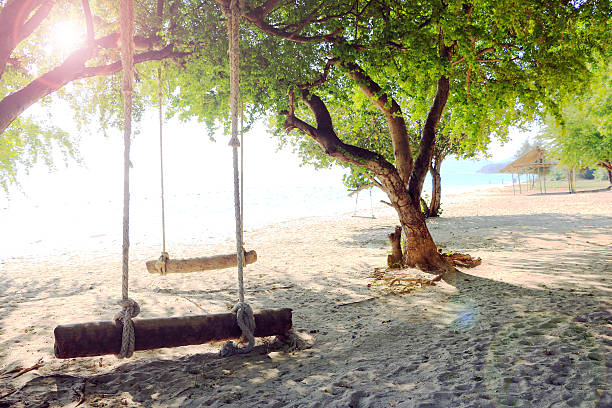 istock Swing on the beautiful beach in the samae san island 637737088