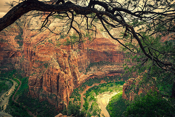 Taken in Zion National Park, Utah