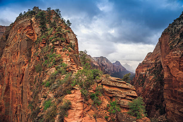 Taken in Zion National Park, Utah