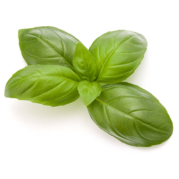 istock Sweet basil herb leaves isolated on white background closeup 637739558