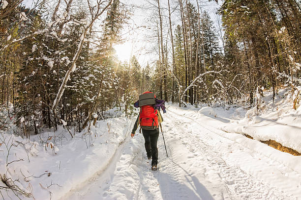 istock Girl backpacker walking on forest road in the winter forest 637742350