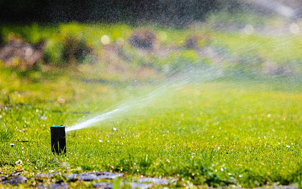 istock Gardening. Lawn sprinkler spraying water over grass. 637745952