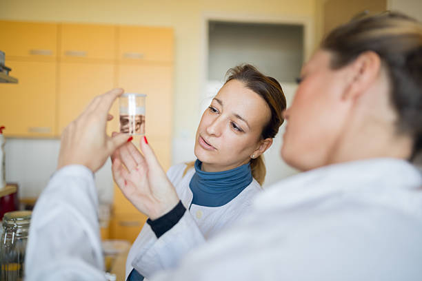 istock Biologist looking at newt specimen 637748188