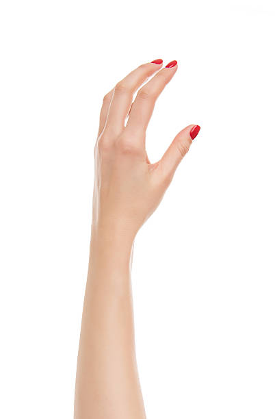 istock Beautiful woman hand holding or stretches. 637753098