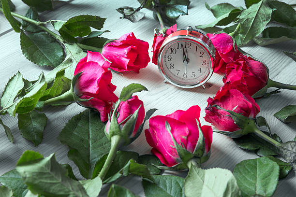 istock rose on wood and clock for sell on valentine 637753544