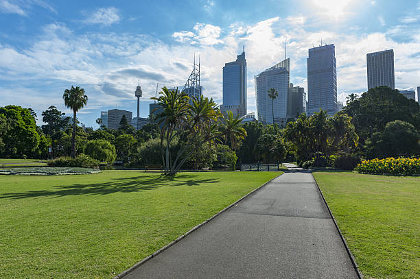 istock Beautiful nature in Botanic garden Sydney. 637754220