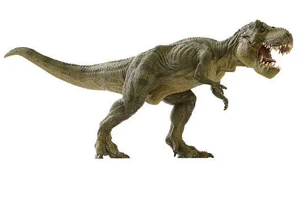 Photo of dinosaur