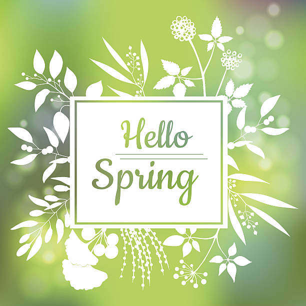 illustrazioni stock, clip art, cartoni animati e icone di tendenza di design della carta verde hello spring con uno sfondo astratto strutturato - hello