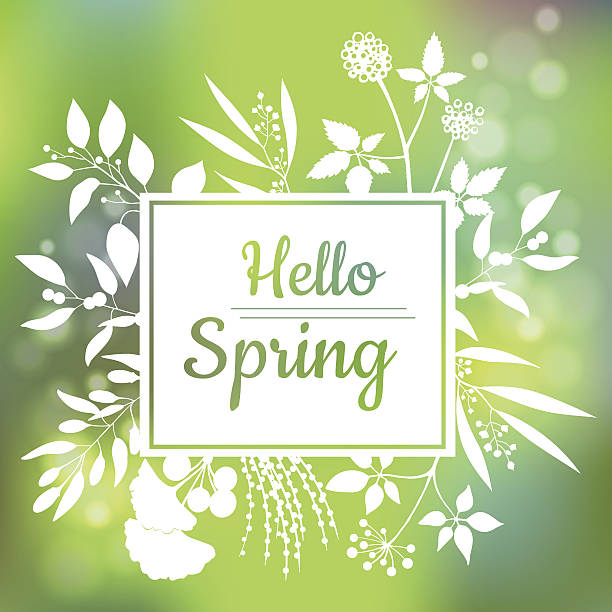 ilustrações de stock, clip art, desenhos animados e ícones de hello spring green card design with a textured abstract background - hello