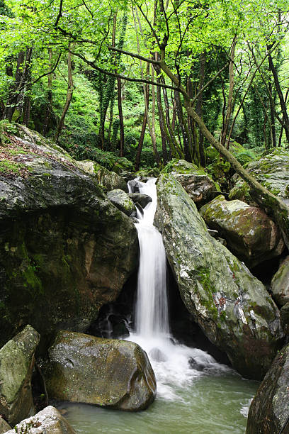 istock Landscape of a waterfall. 637761954