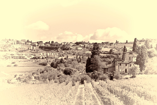 Vineyard with Ripe Grapes in the Autumn on the Background of Medieval Italian City, Stylized Photo