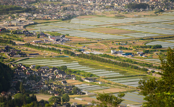 istock The Japanese Countryside 637765804