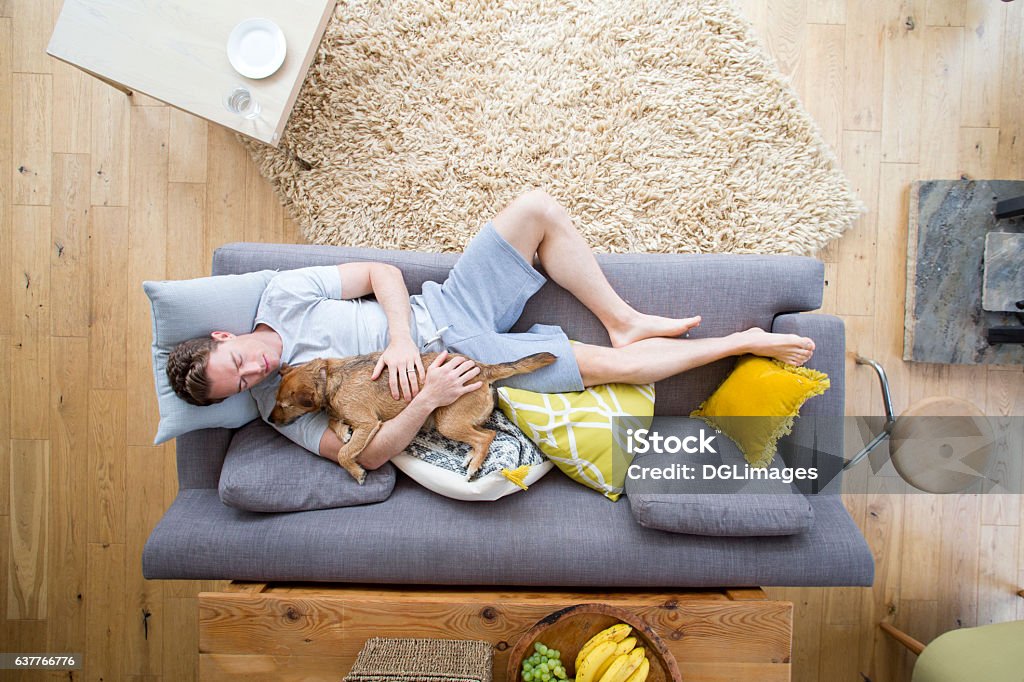 Sharing the Dog's Life Man is lying on the sofa in the living room of his home. He has his dog lying on him who is also asleep. Dog Stock Photo