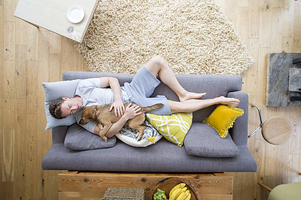 Sharing the Dog's Life Man is lying on the sofa in the living room of his home. He has his dog lying on him who is also asleep. man sleeping top view stock pictures, royalty-free photos & images