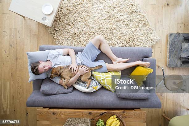 Sharing The Dogs Life Stock Photo - Download Image Now - Dog, Sofa, Men