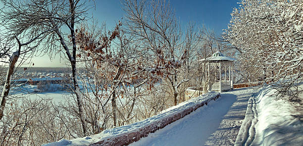 Winter is here in Belgrade and the first snow whitened all the urban forest of Kosutnjak