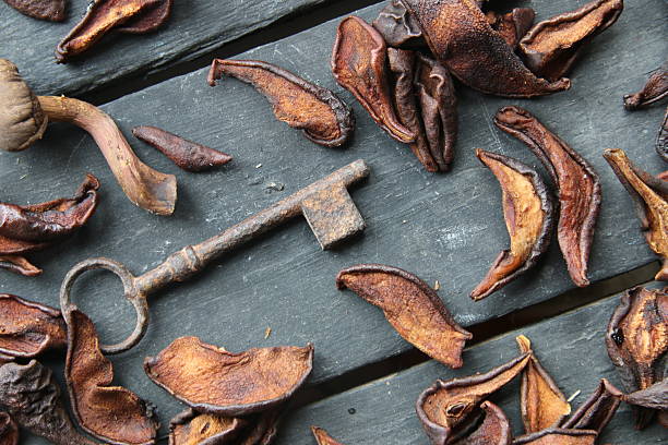 istock Autumn Still Life. Dry Pear Fruit 637772246