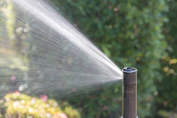 istock water springer in garden 637773434