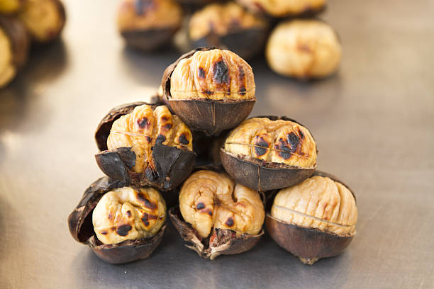istock chestnut, marron, Turkish chestnut, sweet chestnut 637777826